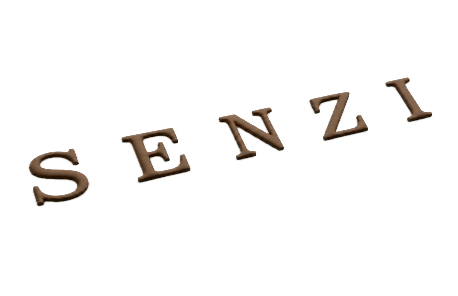Senzi — Puff print — the SENZI wordmark